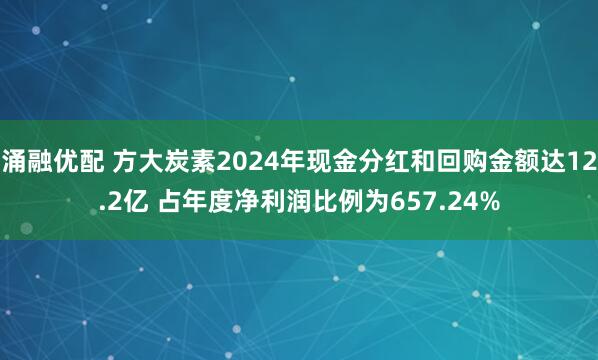 涌融优配 方大炭素2024年现金分红和回购金额达12.2亿 占年度净利润比例为657.24%