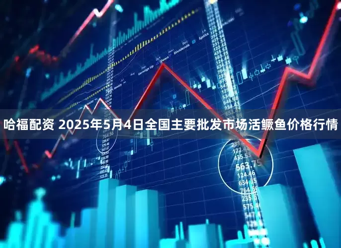 哈福配资 2025年5月4日全国主要批发市场活鳜鱼价格行情