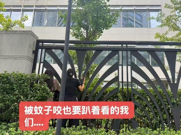 盛康配资 开学第一周，有爸爸比孩子哭得还凶！专家：面对分离焦虑，家长要学会放手